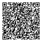 Biz View QR Card