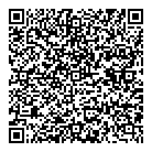 Icon Technologies Ltd QR Card