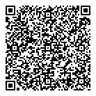 Naniko Properties QR Card