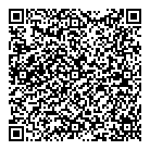 Mnp Llp QR Card