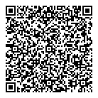 Professionail QR Card