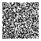 Twin Motors Ltd QR Card