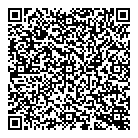 Big Dipper Ltd QR Card