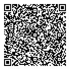 Lightning Electric QR Card