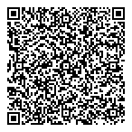 Raymond Vauclair Projects Ltd QR Card