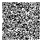 Indo-China Chinese News QR Card