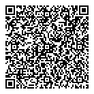 Y2k Hair Technique QR Card