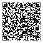 Mesh Hair Design QR Card