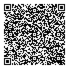 Toad Hall Toys QR Card