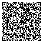 Twin Industry Sales Services Ltd QR Card