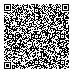 Vb's Mobile Emission Testing QR Card