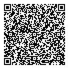 D L Audio Visual QR Card