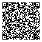 Dcmma  Jujitsu QR Card