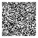 Discovery Diesel Electric Ltd QR Card