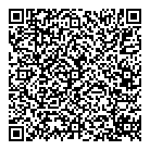 Mnp LLP QR Card