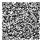 Plowe Power Systems Ltd QR Card