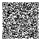 B  L Small Motors QR Card