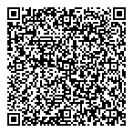 Snow Fine Financial Inc QR Card