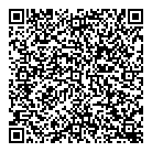 Ngan Huynh Inc QR Card