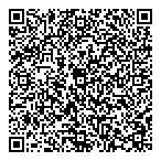 D A Levinson  Assoc QR Card