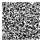 Hemmera Envirochem Inc QR Card