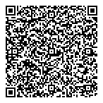 Sandtronic Business Systs Ltd QR Card