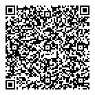Realm Of Toys QR Card