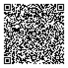 Big Boy's Toys Ltd QR Card