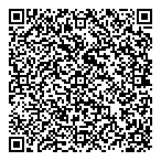 Wise Guys Developments QR Card