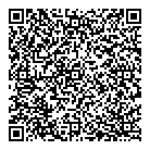 Dirk Van Der Meer Inc QR Card