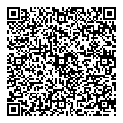 Telecom Computer QR Card