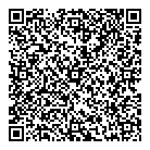 Dollar Automotive QR Card