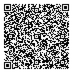 Tech North Solutions Inc QR Card