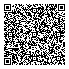 Bluebat Games Inc QR Card