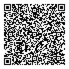 Big Fish Ventures Ltd QR Card