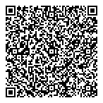 Cobalt Electronic Systems QR Card