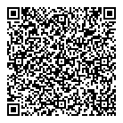 Micro-Vision QR Card