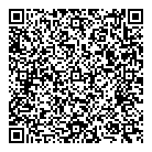 Aurora Photography QR Card