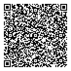 Pitura Enterprises Ltd QR Card