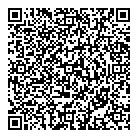 Ace Instruments Ltd QR Card