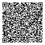 Dwb Consulting Services Ltd QR Card