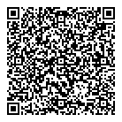 Dsc Consulting QR Card