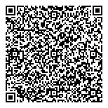 Baddinotti Net Services Canada Ltd QR Card