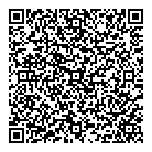 Vvi Construction Ltd QR Card