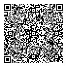 D  L Consulting QR Card