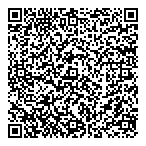 Dengarry Professional Services Ltd QR Card