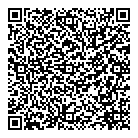 Bizwize Inc QR Card