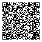 Dns Inc QR Card