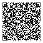 Strident Consulting Inc QR Card