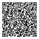 T D  Sons Tire Inc QR Card